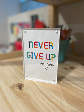 Frame - Never Give Up On You